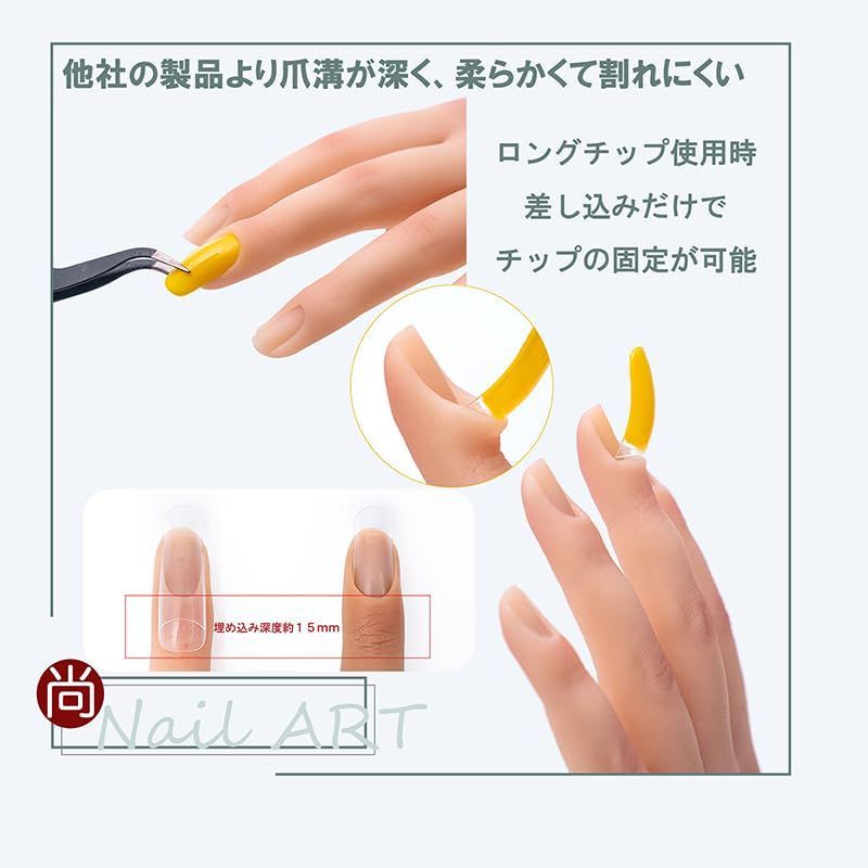 MODEL HAND ネイルアート練習用 Amazon.co.jp: ネイルアート練習用ハンド、ネイル、シリコン製