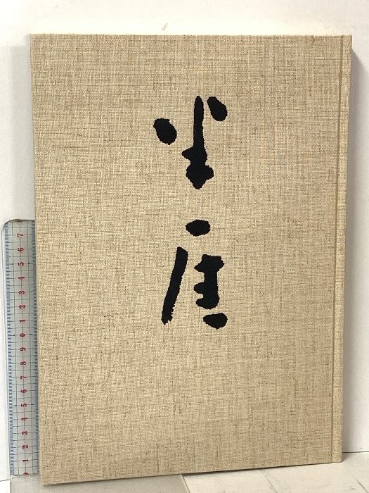 図録 半厓 千葉半厓の書業 千葉半厓作品集刊行会