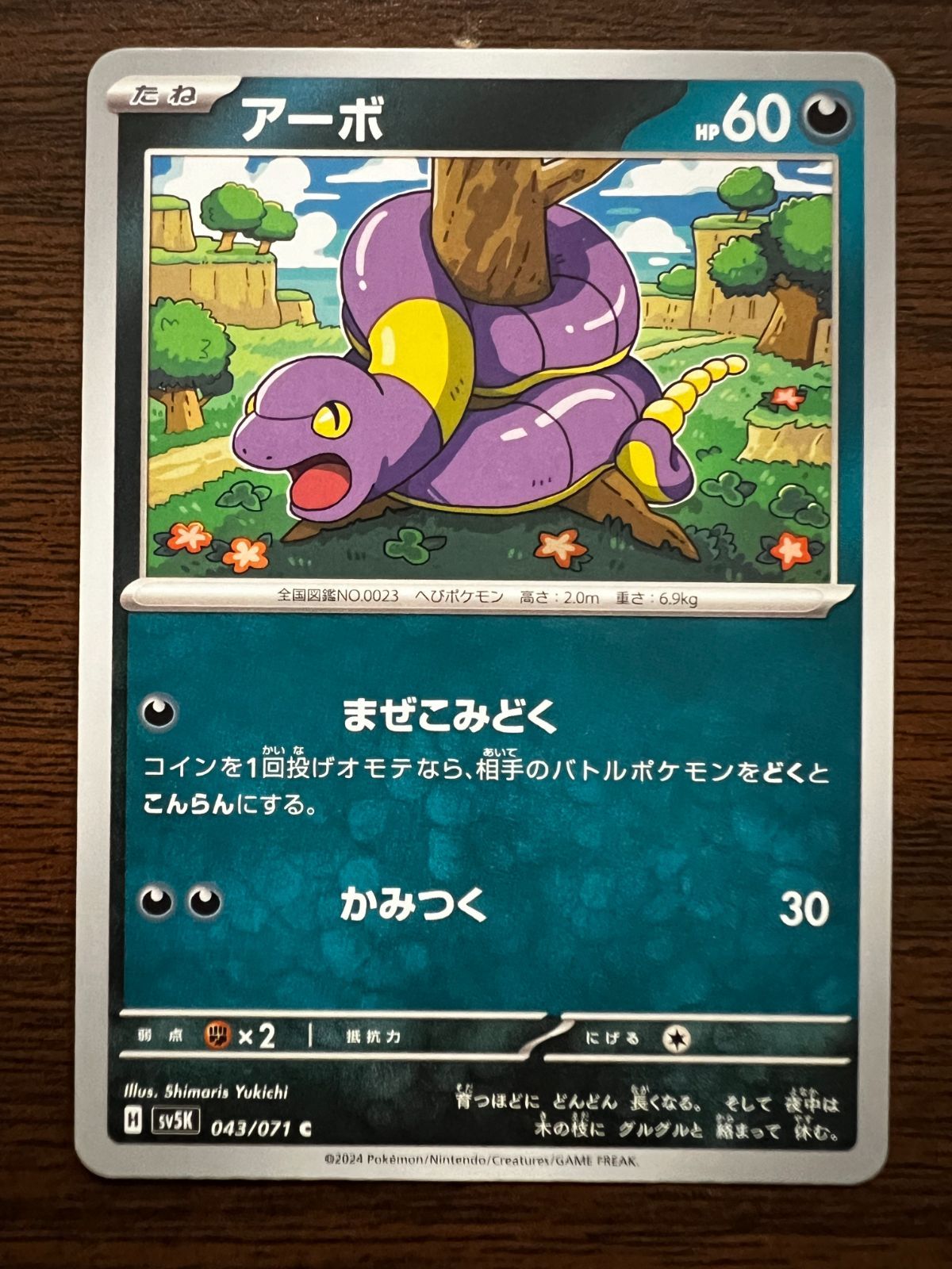 アーボ C [SV5K 043/071](拡張パック「ワイルドフォース