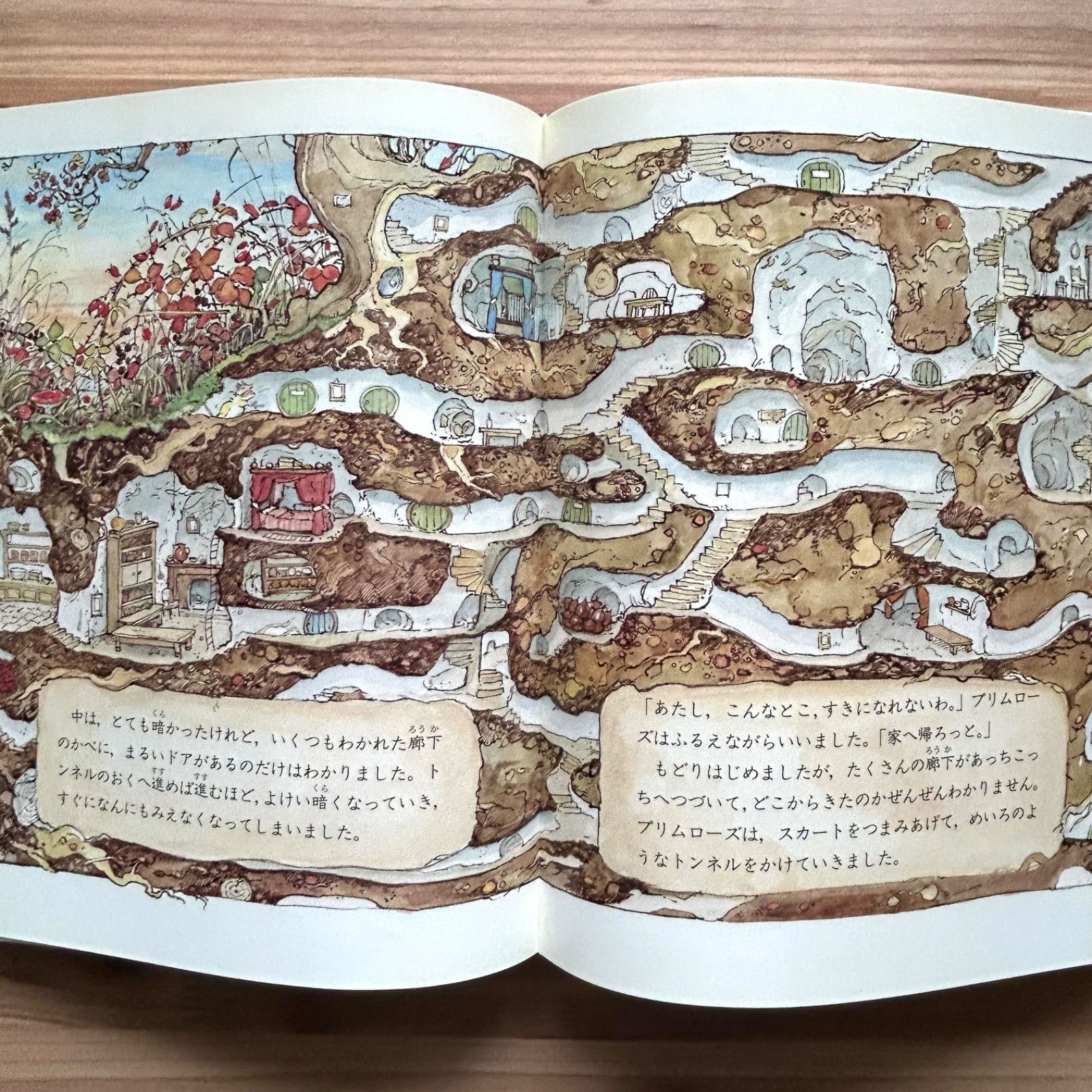 のばらの村のものがたり