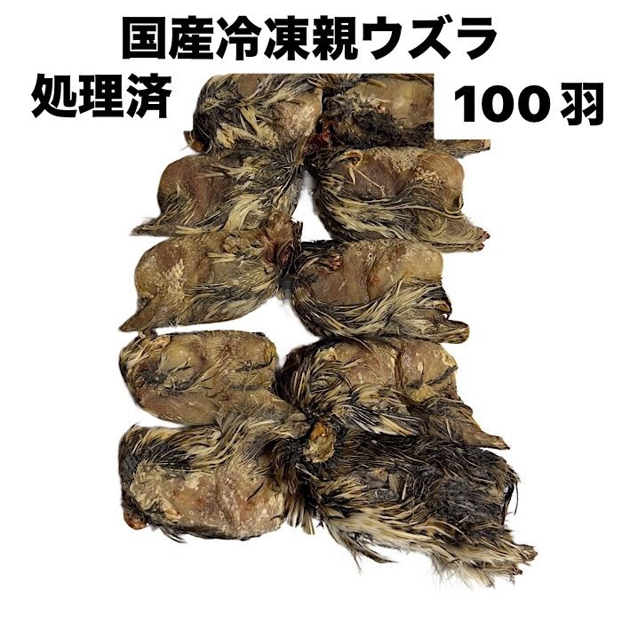 冷凍 親うずら 未処理100羽入 数量限定 残4箱 冷凍 親うずら 未処理100