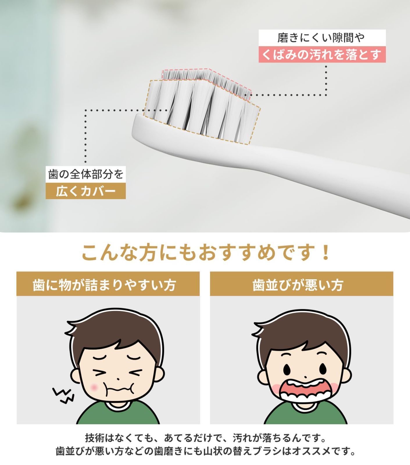 山型の替えブラシ エペイオス