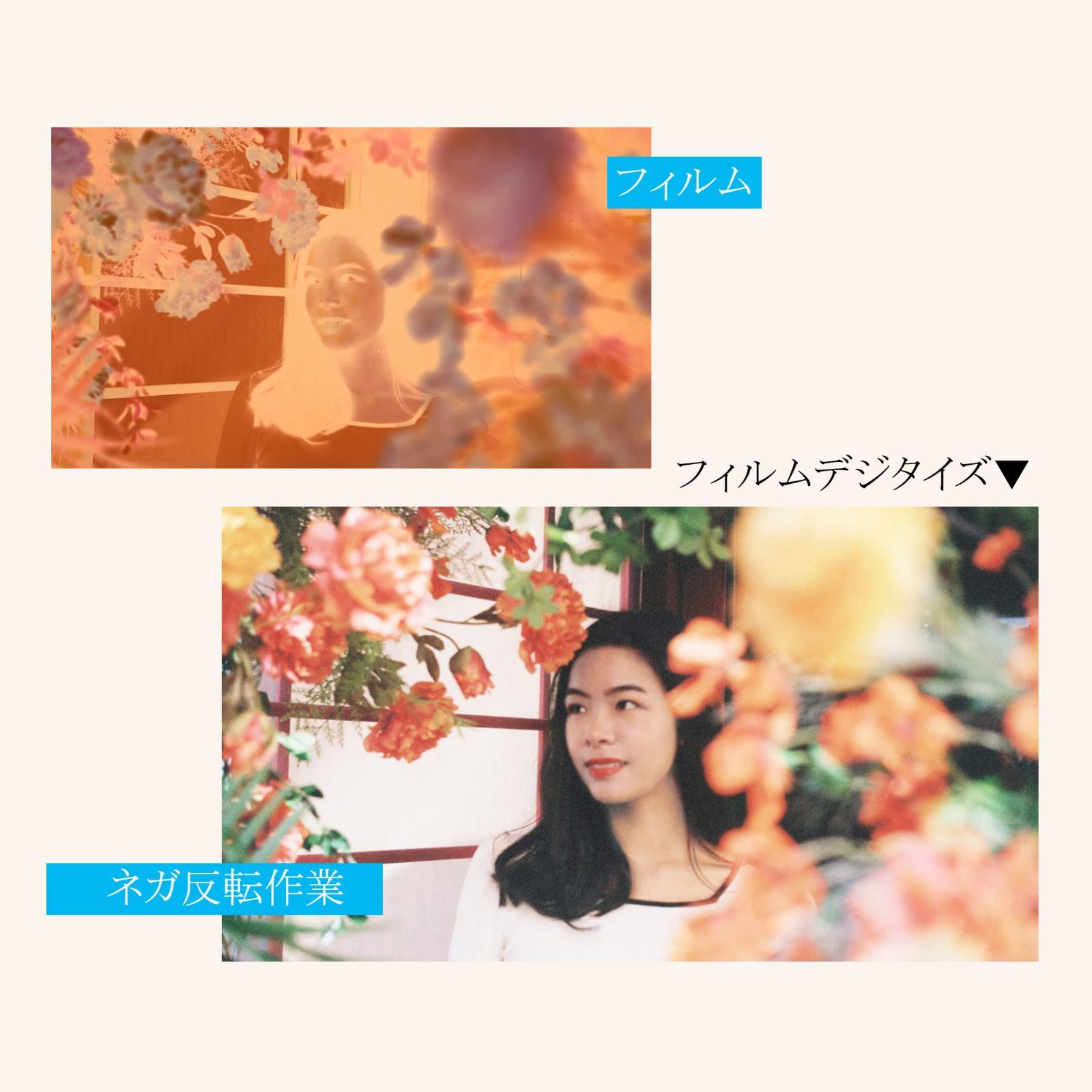 フィルムデジタイズ