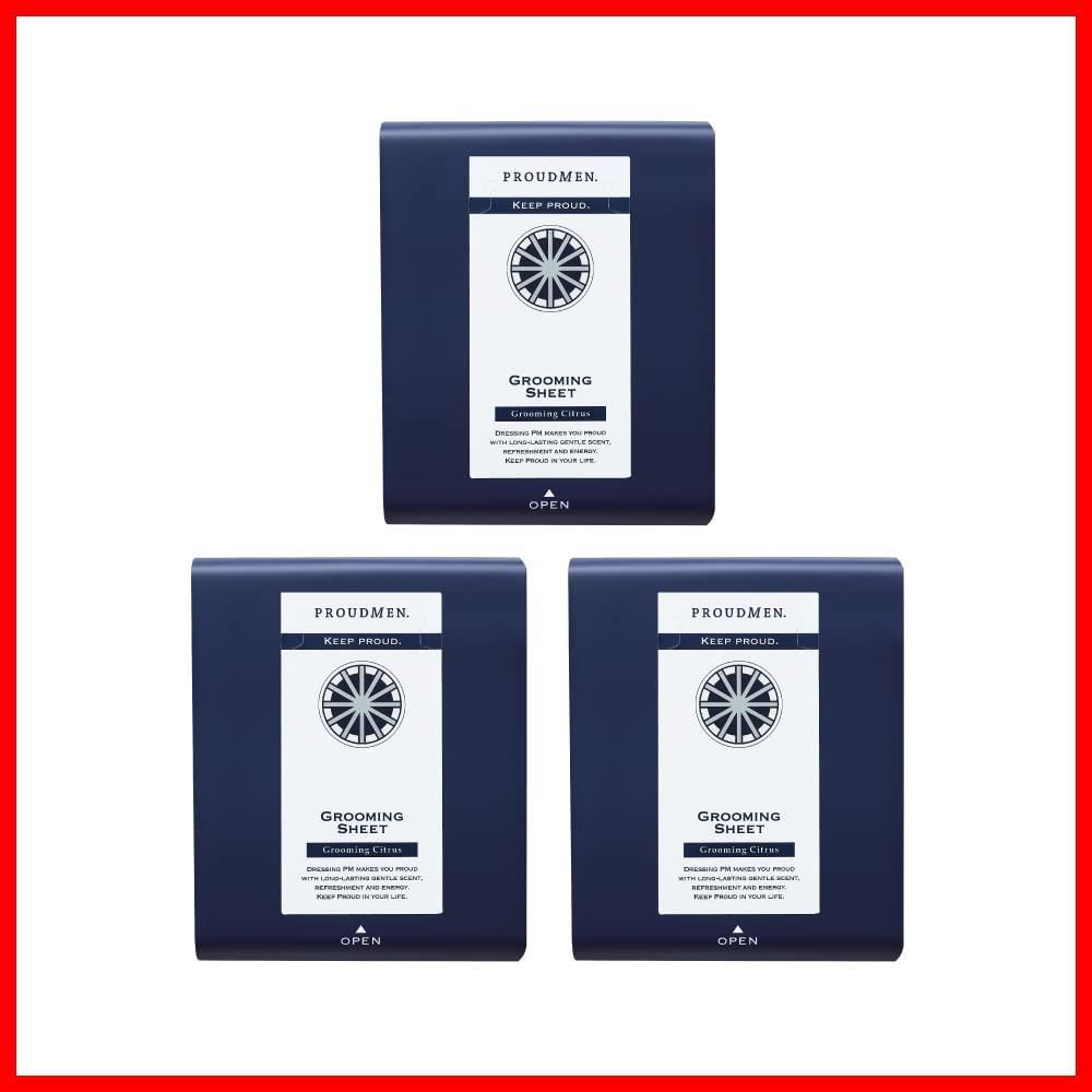 プラウドメン グルーミングシート グルーミング シトラスの香り 16枚入り×3個セット