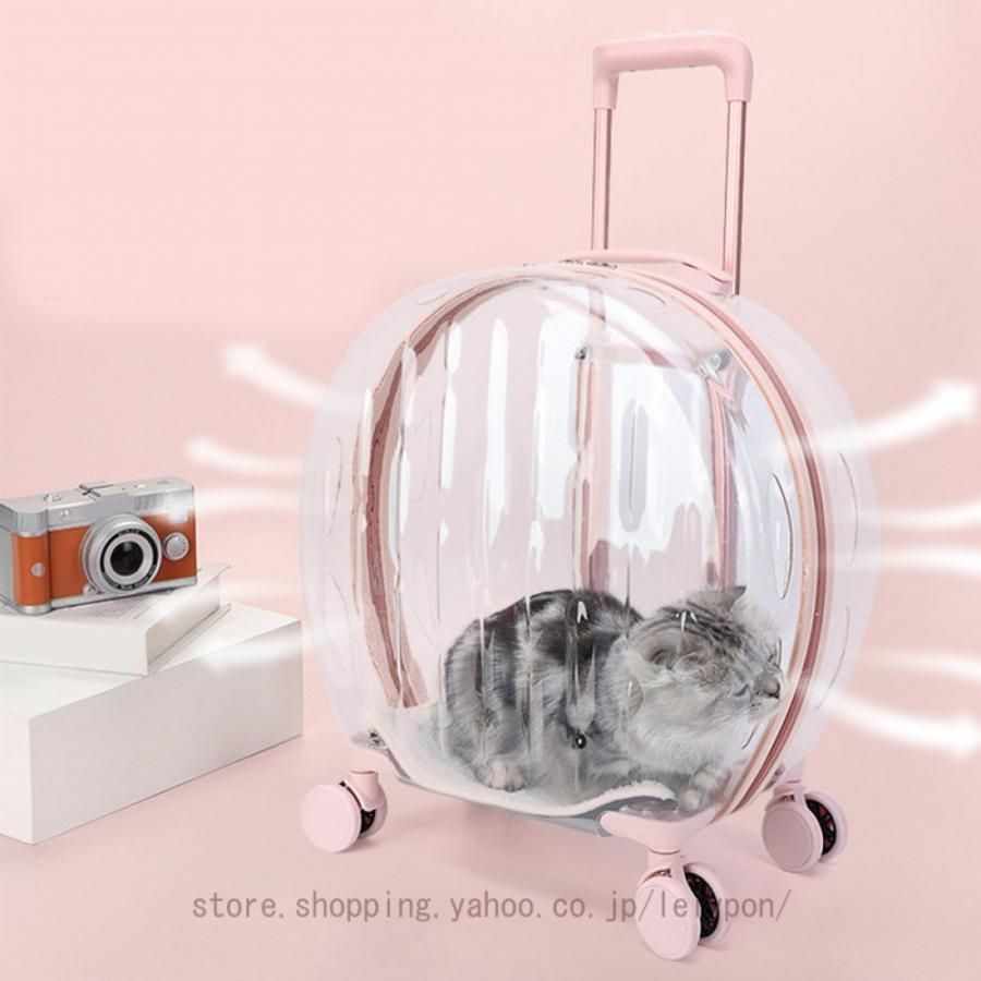 大容量 猫用
