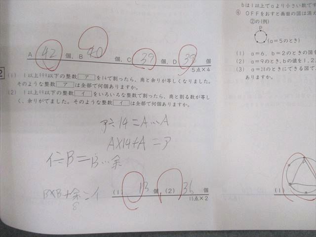 SAPIX 小6 サピックス デイリー/サマー/サポート 通年セット