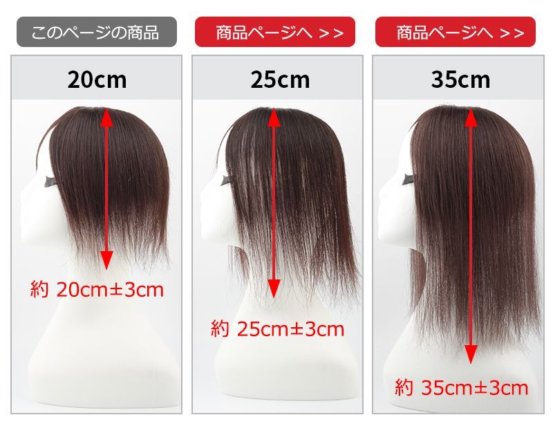 私元気 人毛 部分ウィッグ【20cm】 人毛 ウィッグ つむじ ヘアピース