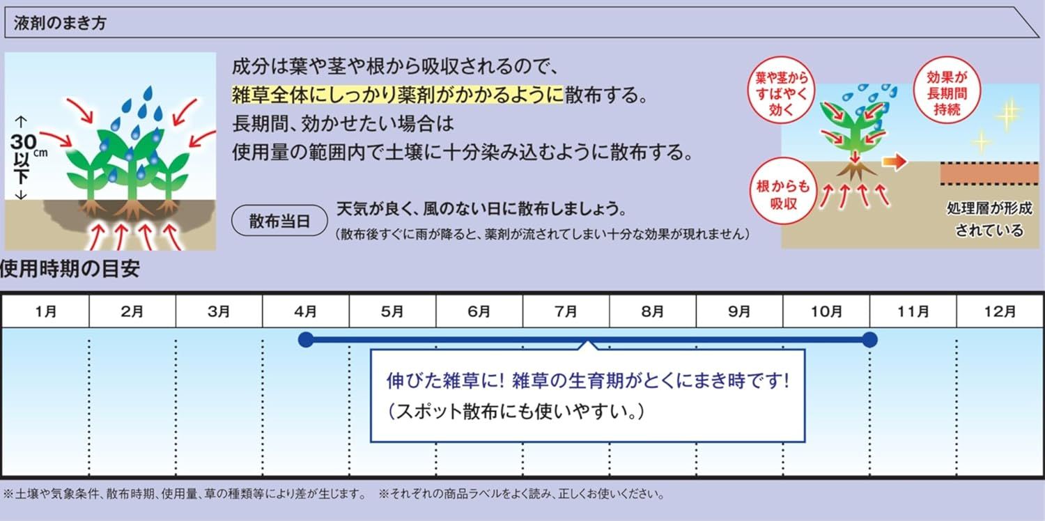 レインボー薬品