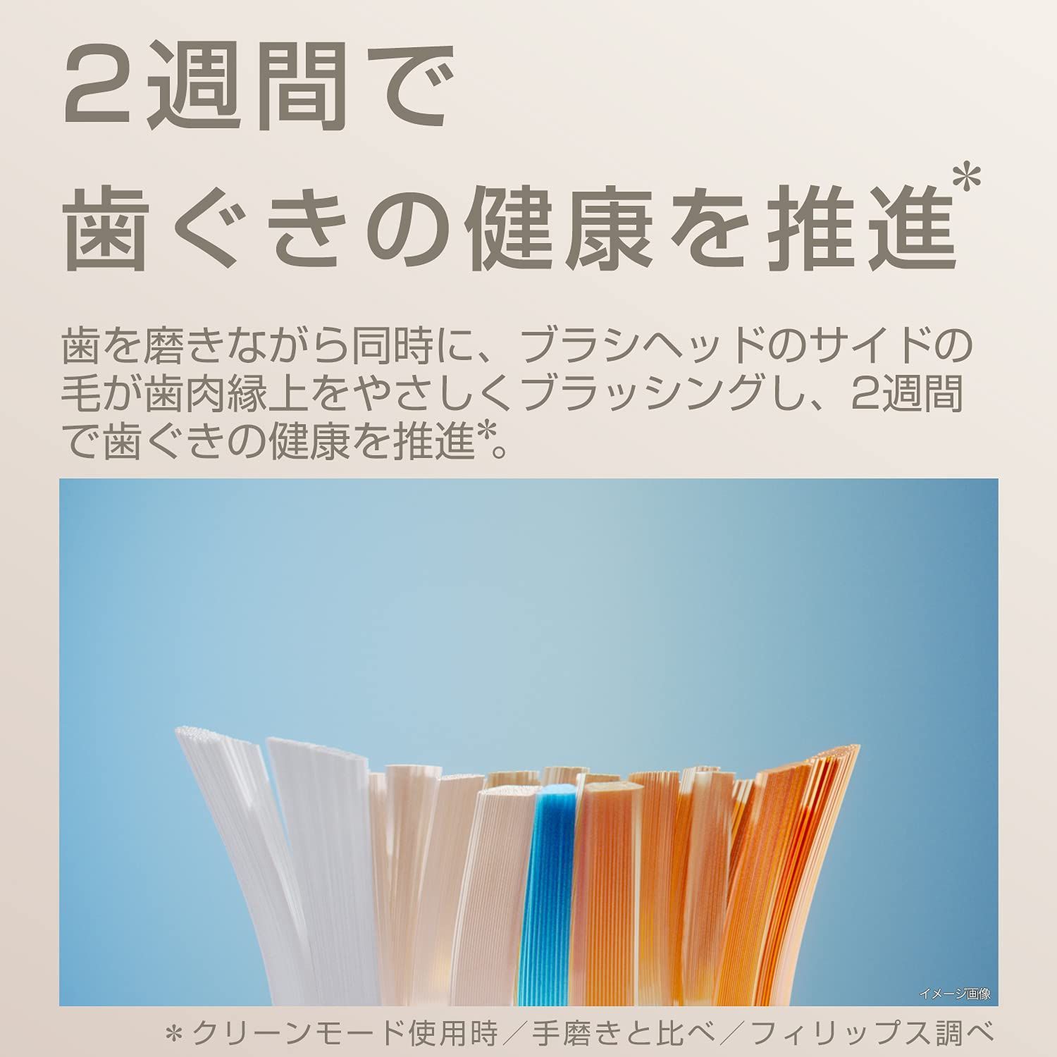 電動歯ブラシ フィリップス 替えブラシ レギュラー2本 - 電動歯ブラシ