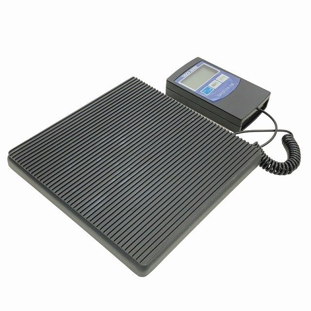 チャージングスケール