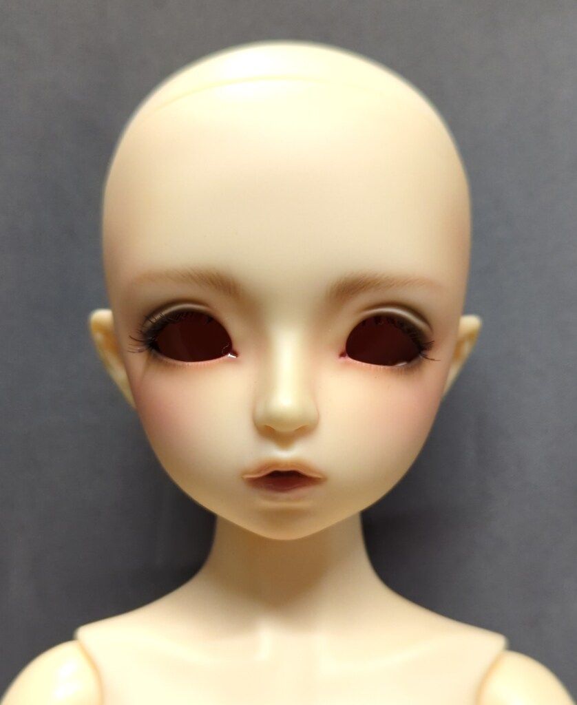 ボークス SDM男の子 スタンダードモデル ダイ