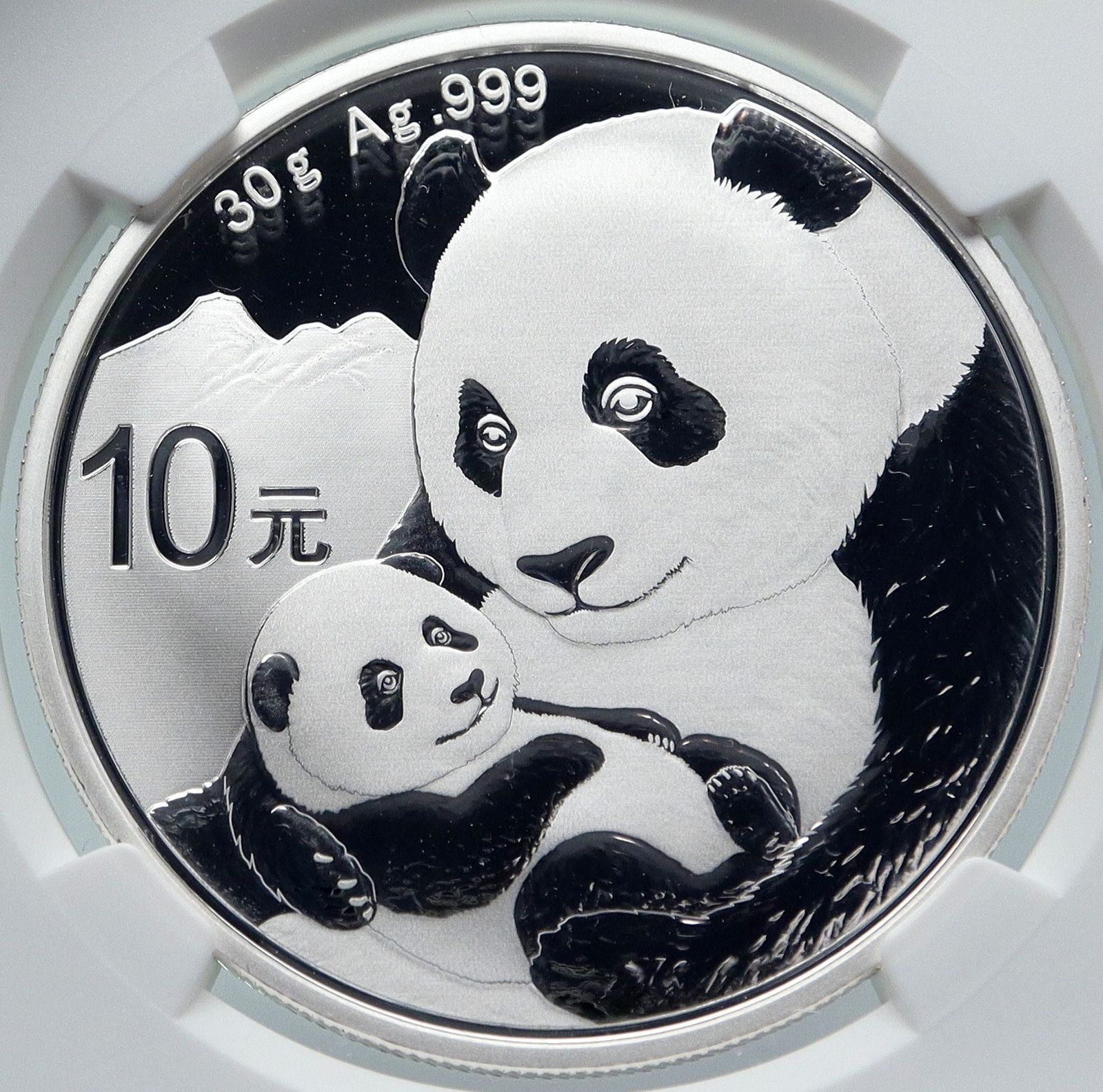 2019 CHINA PANDA MOM w CUB Silver 10 Yuan Chinese Coin NGC MS70 i85712