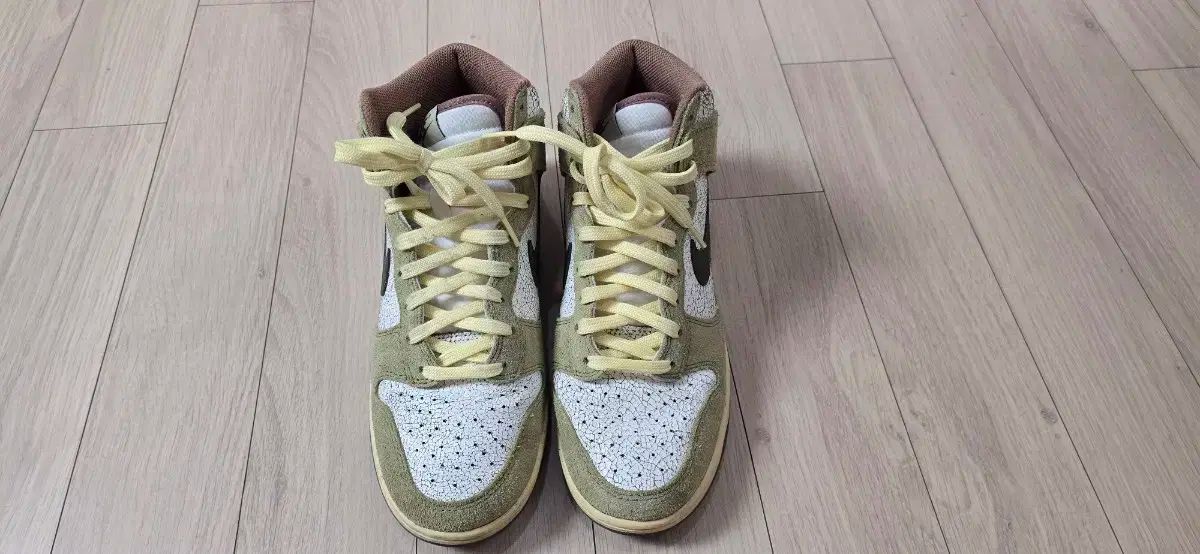 NIKE ナイキ ダンク ハイ リー ロー コリアンダー 260mm