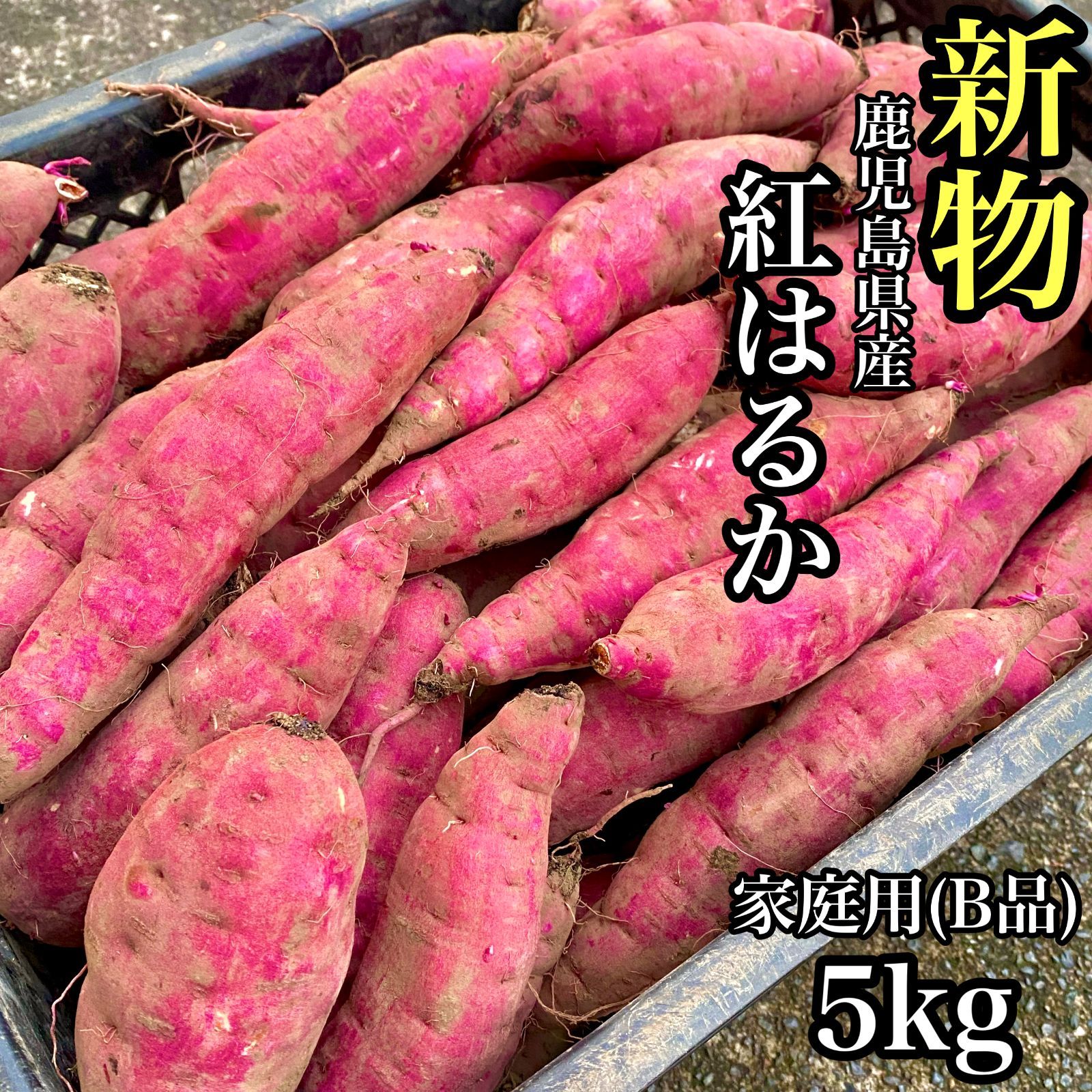 さつまいも☆鳴門金時☆産地直送☆訳あり - 野菜