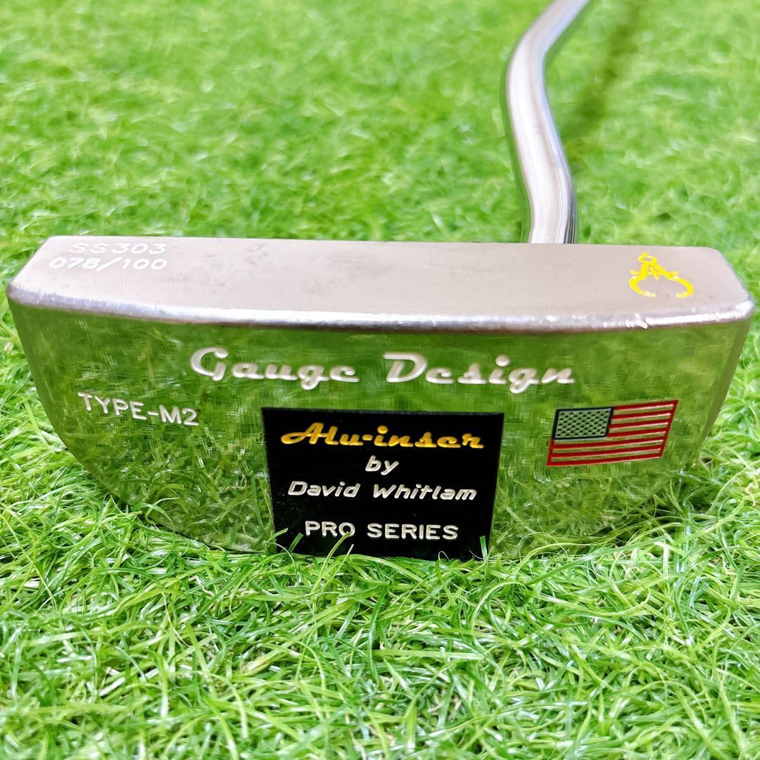 ゲージデザイン TYPE-M2 SS303 100本 ゴルフ パター