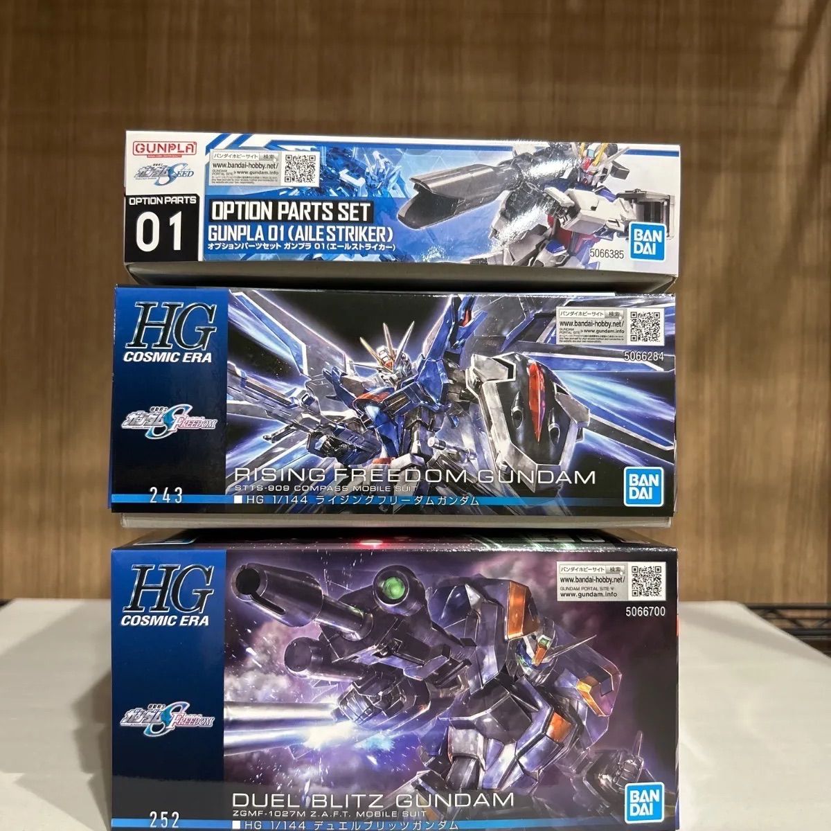 HG デュエルブリッツガンダム HG ライジングフリーダムガンダム オプションパーツセット ガンプラ 01 エールストライカー