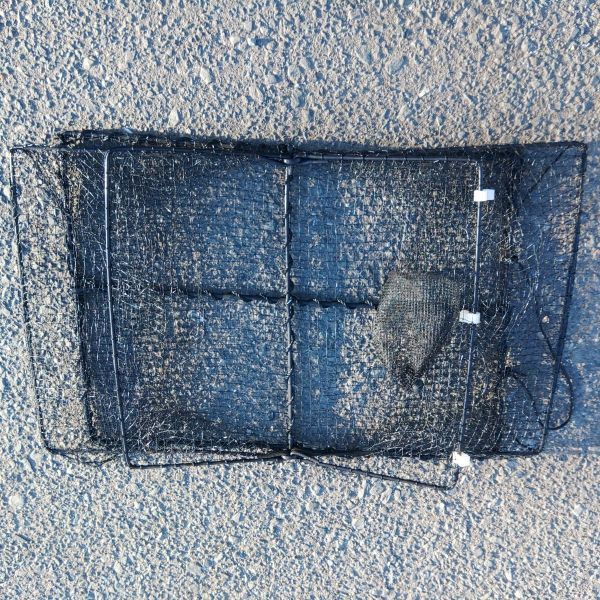 プラスチック角型タイプ ５枚 送料無料（九州沖縄別途追加送料）新品 カニカゴ 蟹かご 蟹カゴ 仕掛け 漁具 穴子仕掛け 蟹仕掛け お魚キラー「プラスチック角型タイプ ５枚 」
