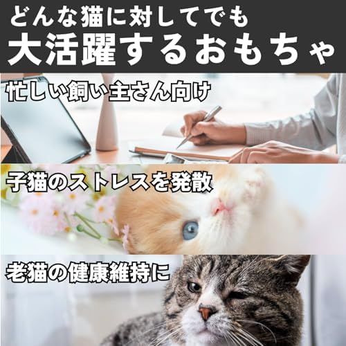 マイキャット