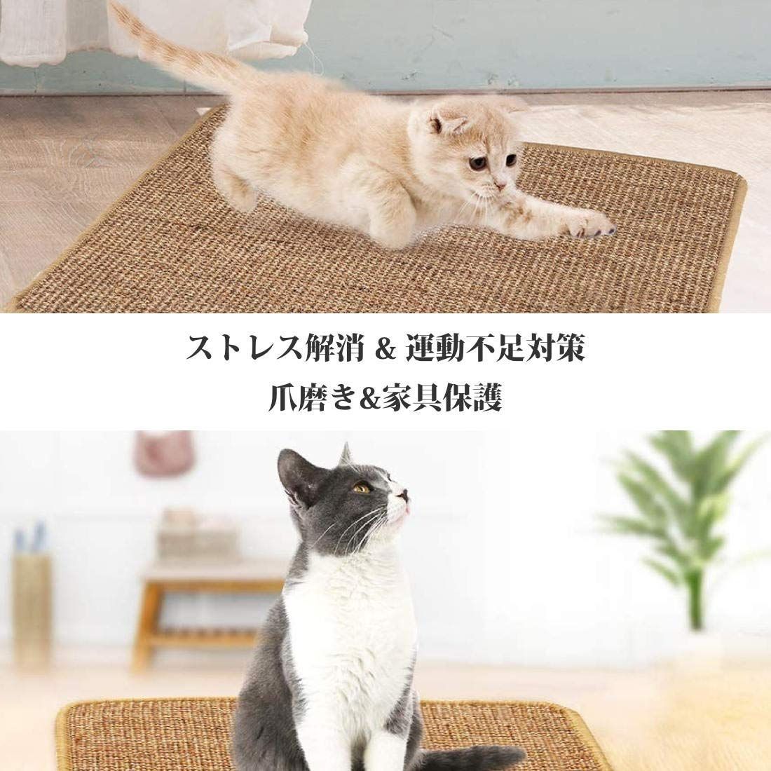 新着商品 猫爪