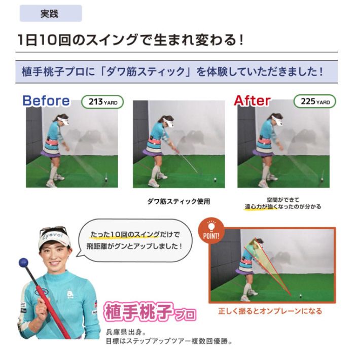 リンクス ダワ筋スティック DAWAKIN STICK ターコイズブルー