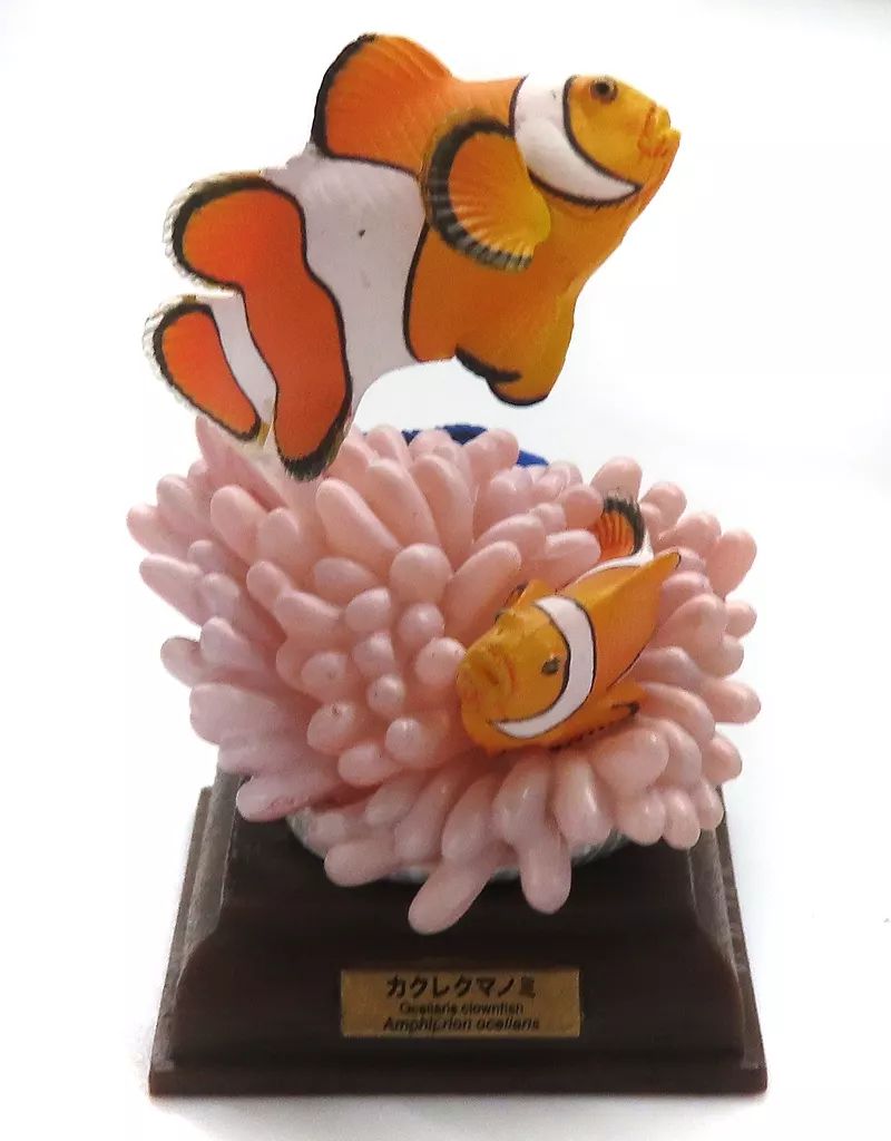 ネイチャーテクニカラー 海洋Ⅰ カクレクマノミ(シークレット