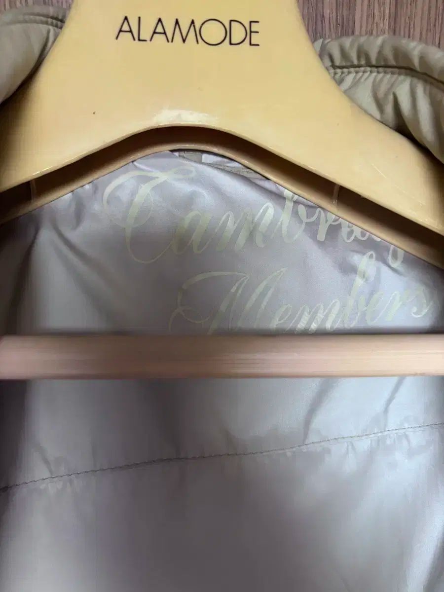 コロン