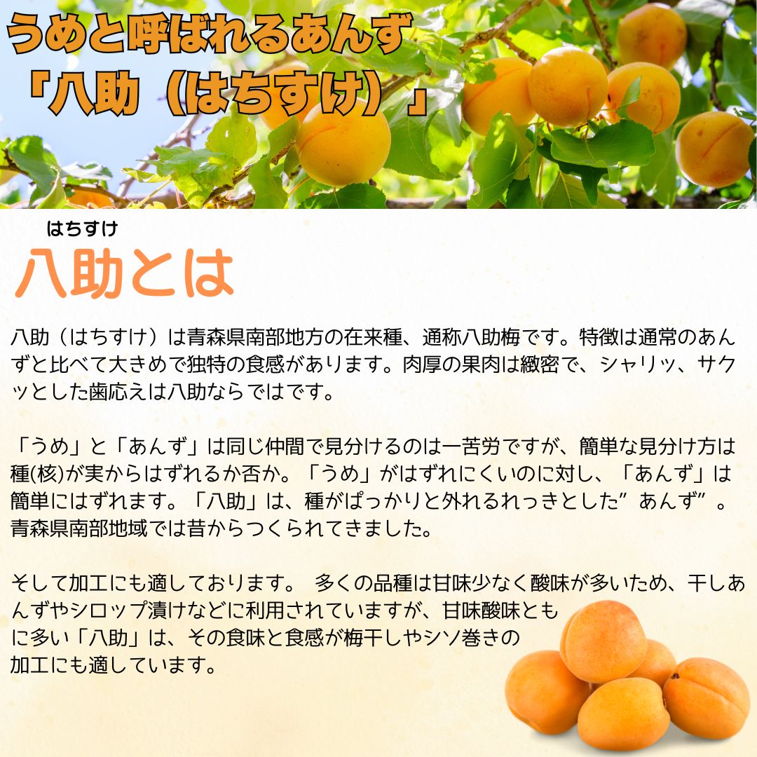 クール便　八助梅　5キロ 希少！ 青森県産 クール冷蔵便 梅 あんず 八助 5kg 全国送料