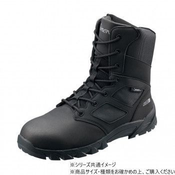 RS033