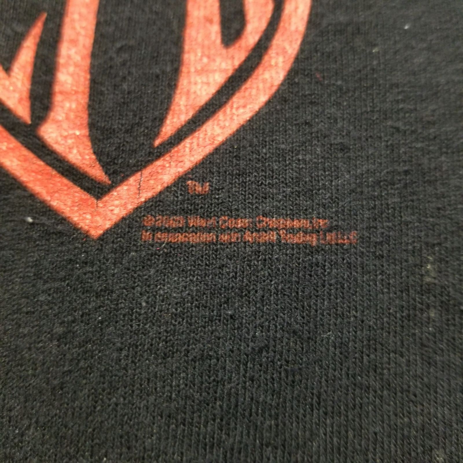 WEST COAST CHOPPERS JESSE WHO ? 00s スカルフレイム ロンT XL