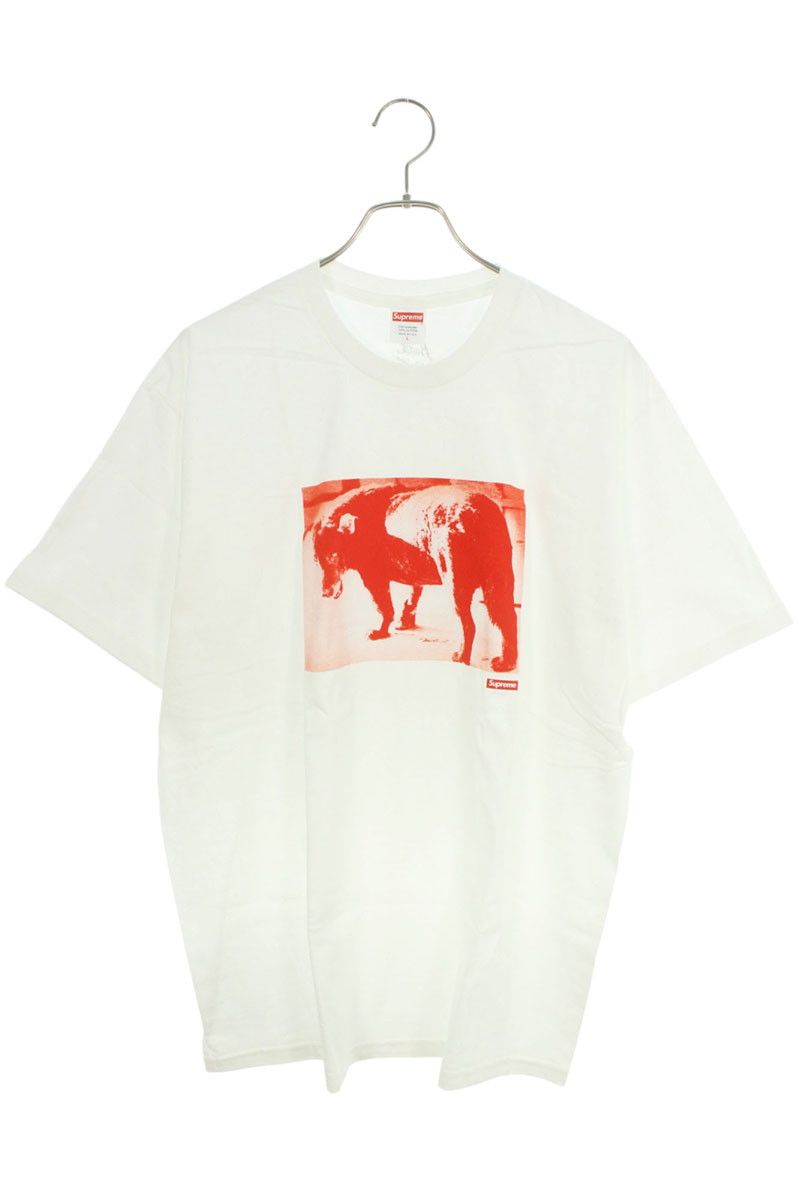 Moriyama Dog