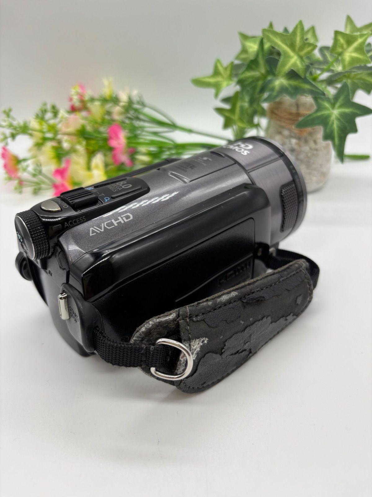 Canon フルハイビジョンデジタルビデオカメラ iVIS (アイビス) HF S10