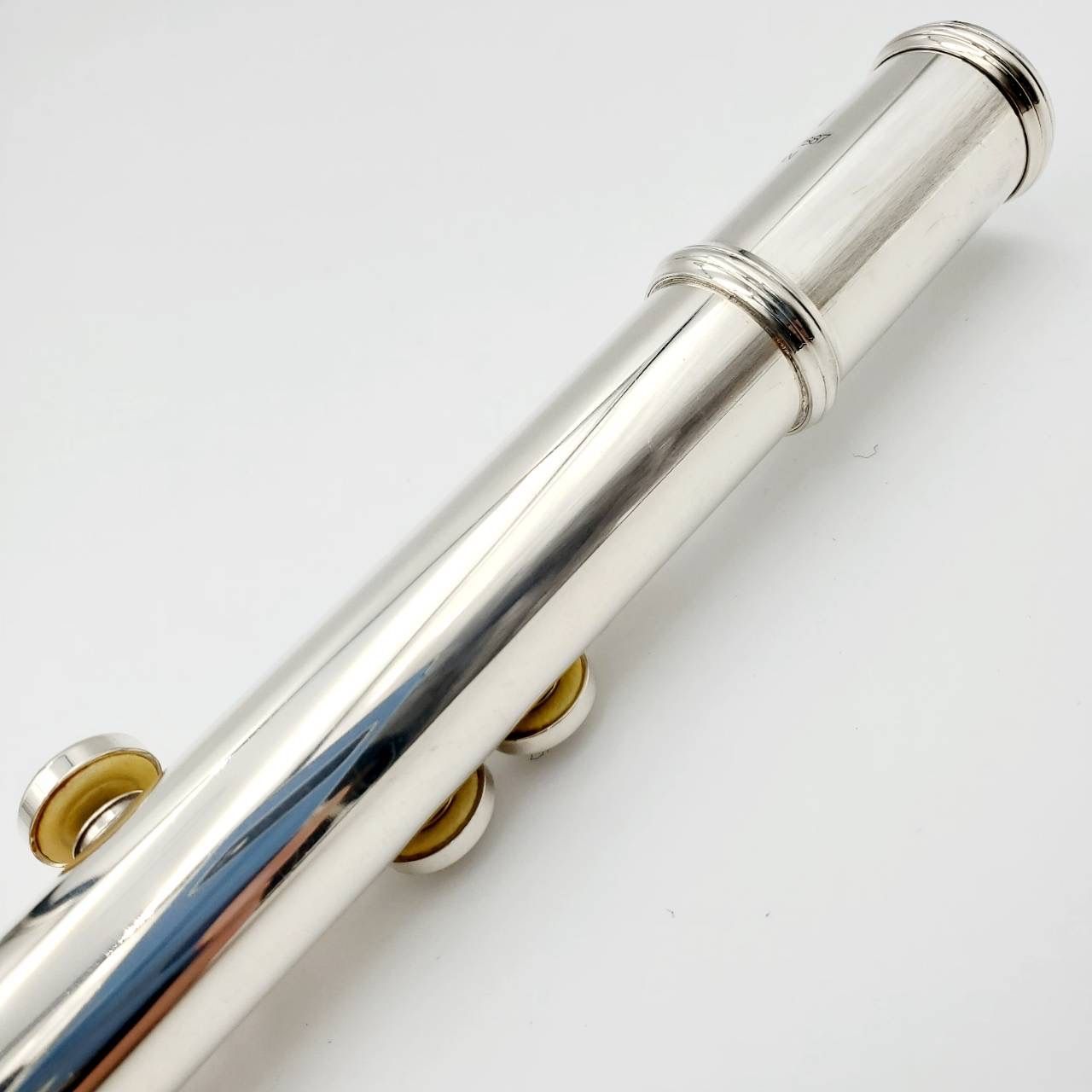 リッププレート銀製