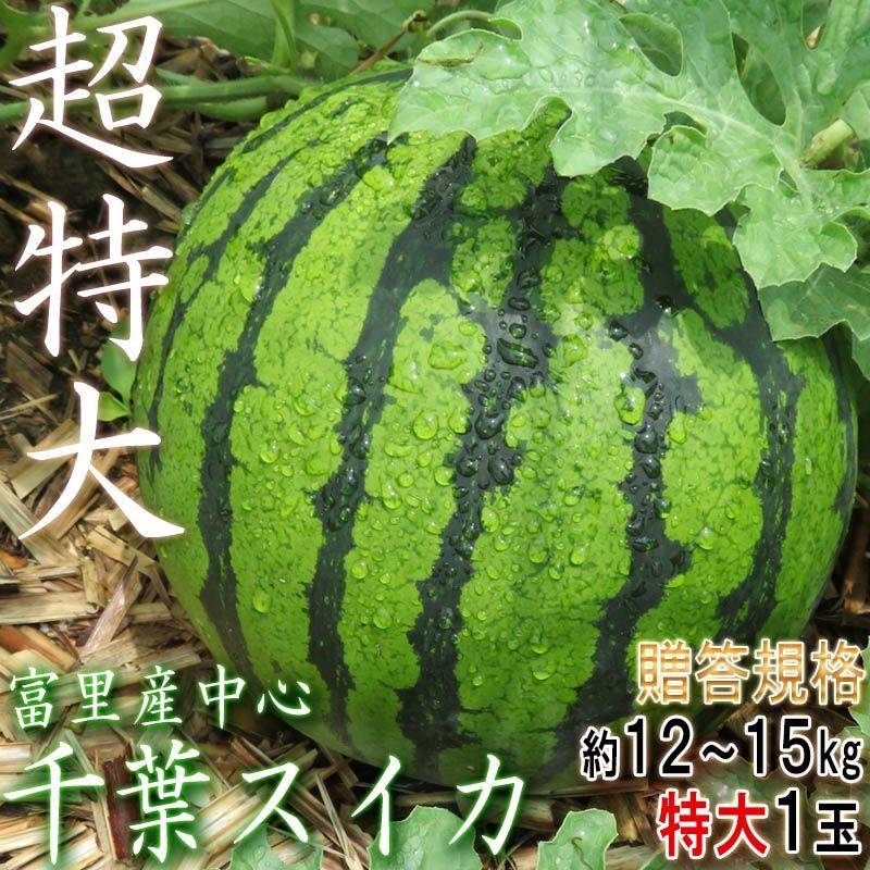 贈答規格】特大スイカ 12～15kg 千葉県産 秀品 - メルカリ