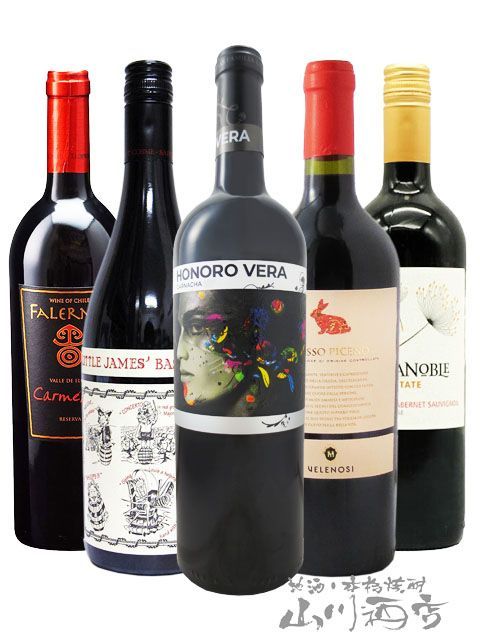世界の赤ワイン厳選5本セット ( 750ml×5 ) 【 4459 】【 赤ワイン