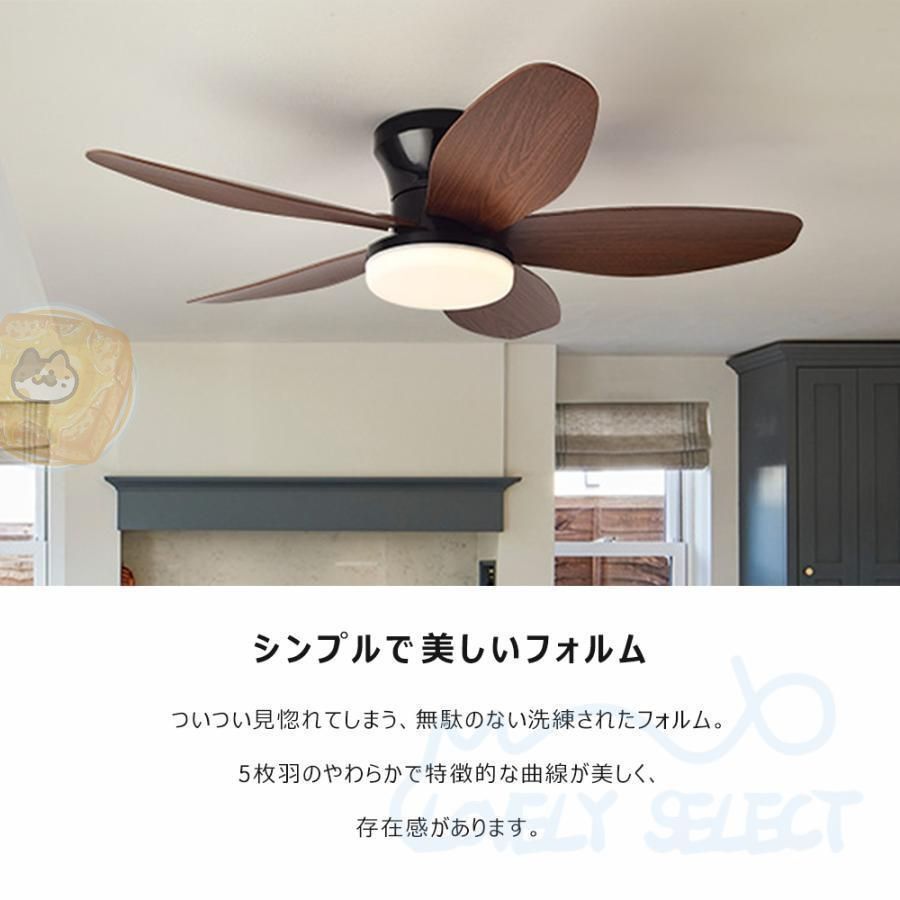 12畳 ファン付き照明