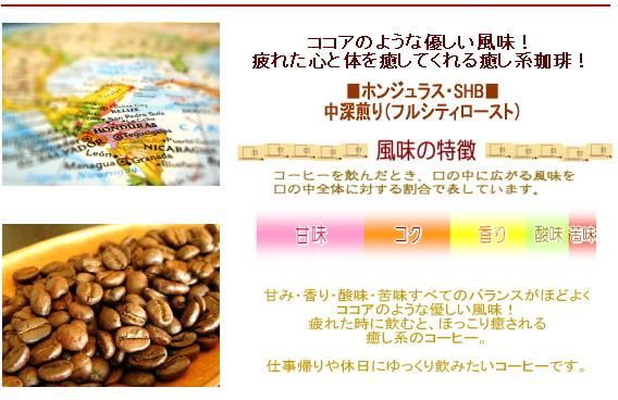 送料無料 台形コーヒーフィルター 2〜4人用 40枚入り ホンジュラス 600g 60杯〜75杯 コーヒー豆■ホンジュラスHG■中深煎り コーヒー  珈琲豆 粉 業務用 コーヒ レギュラーコーヒー アラビカ豆 コヒー豆 ポイント消化 内祝い ホワイトデー お返し