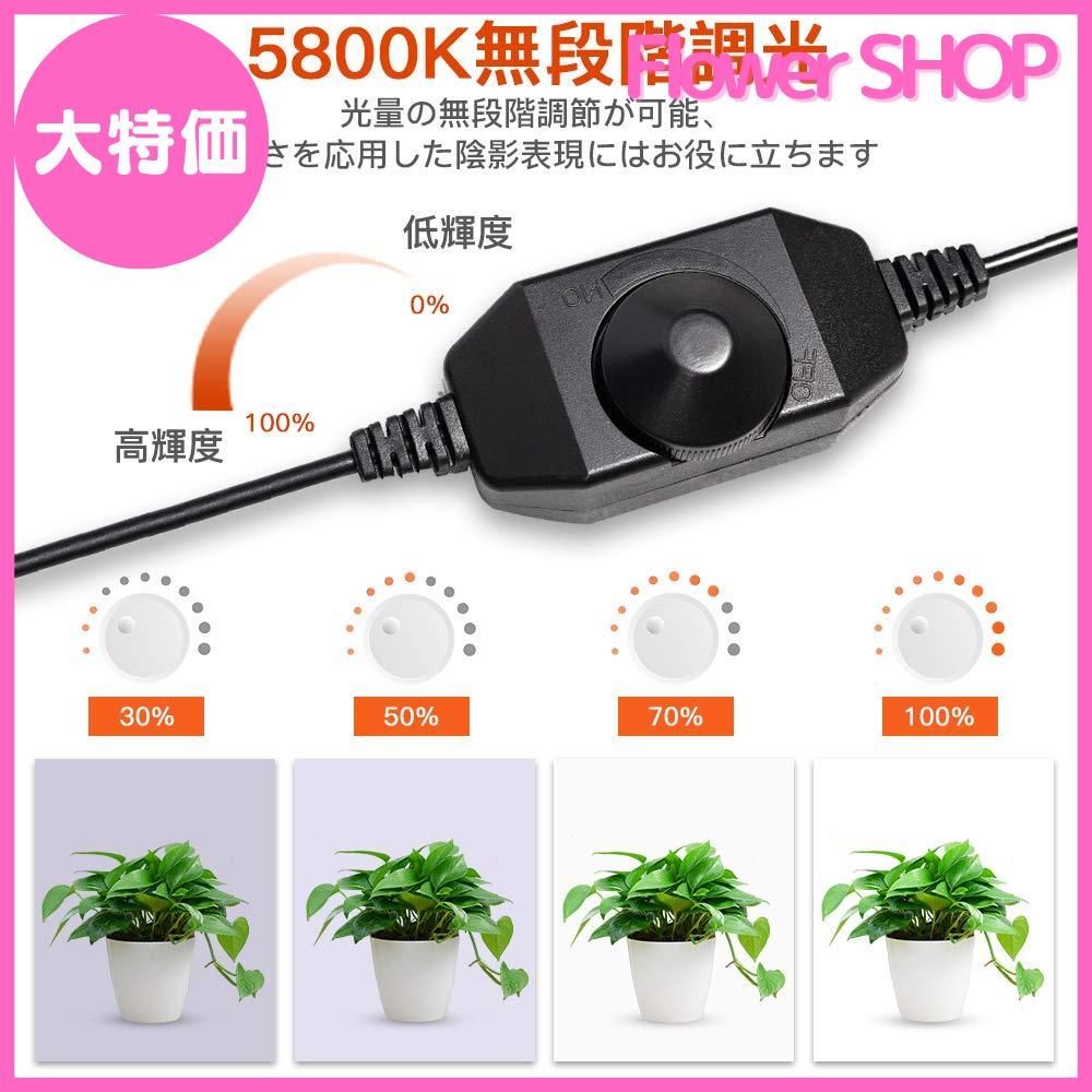 2025 撮影ボックス