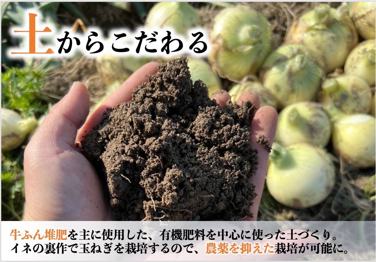 淡路島『歩』玉ねぎ　3kg【兵庫県淡路島産】