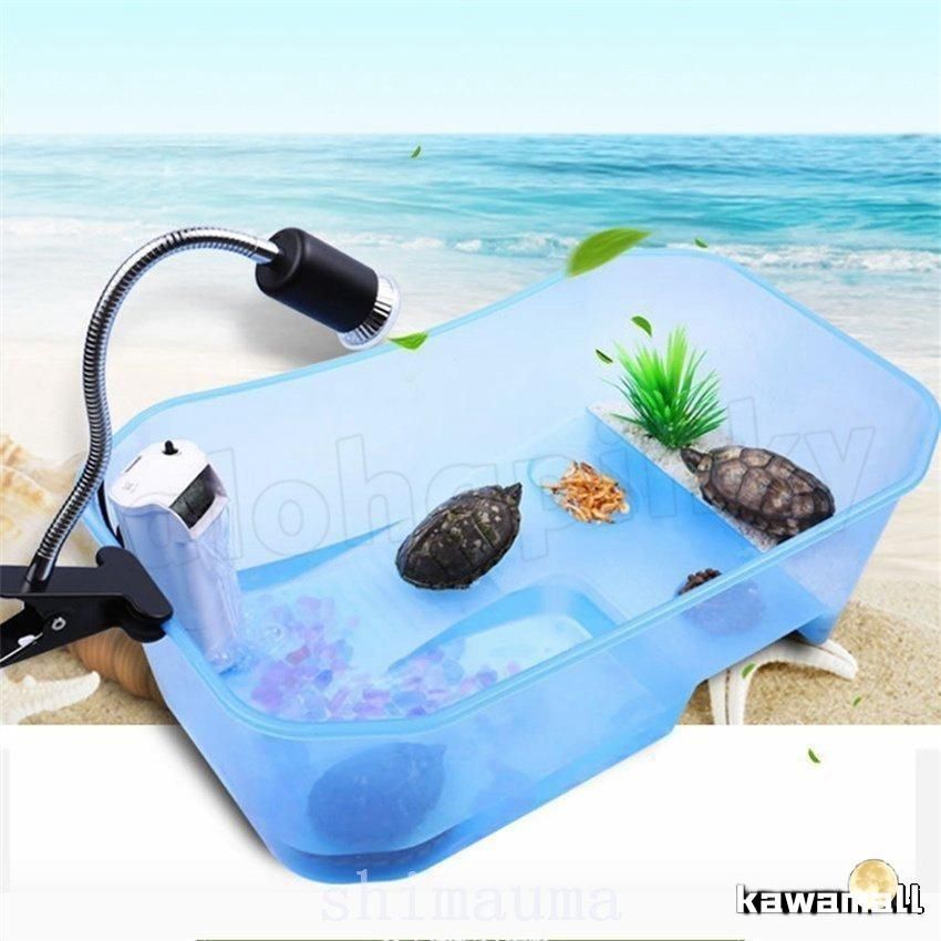 亀の水槽両生類カメの楽園飼育ケースボックスタートルタンク