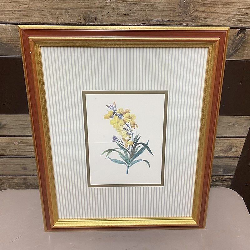 格安新品  centro アートフレーム 花 絵画 W485×D25×H580 ボタニカル 絵 その他