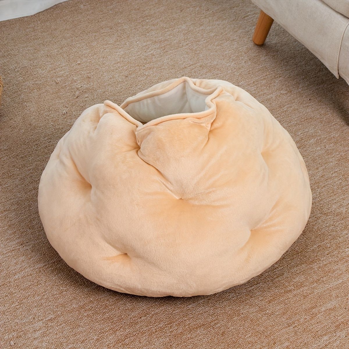 猫の巣 猫