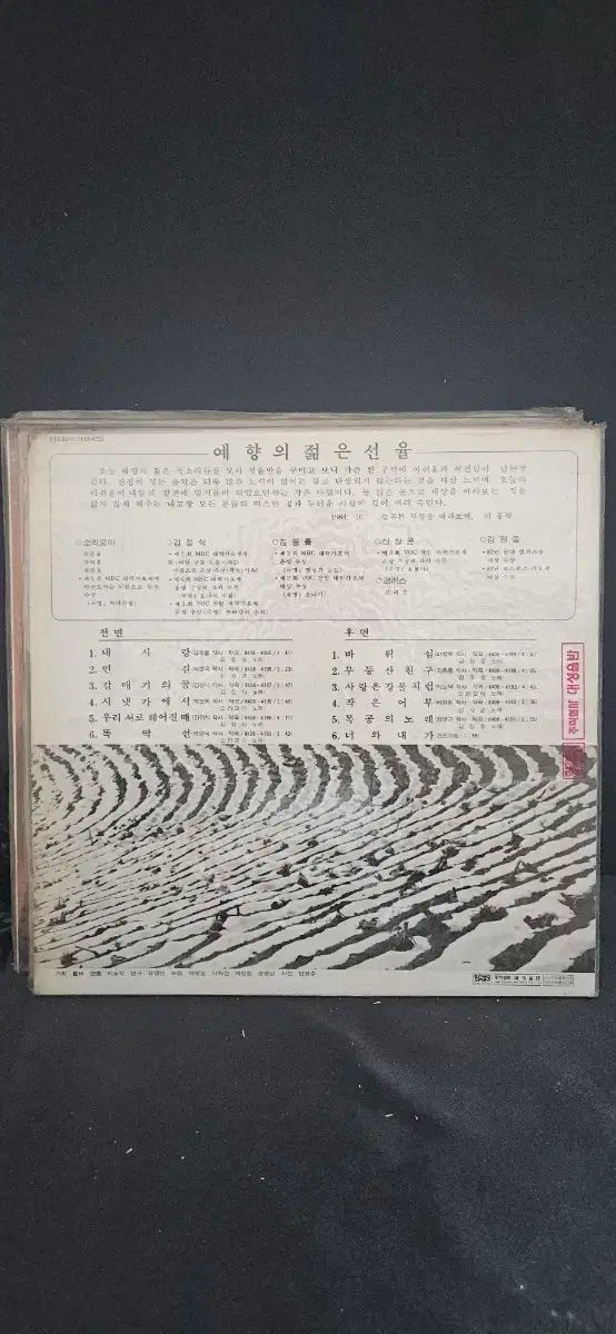 公式通販店舗! イェヒャン 若々しい メロディー LP 記録