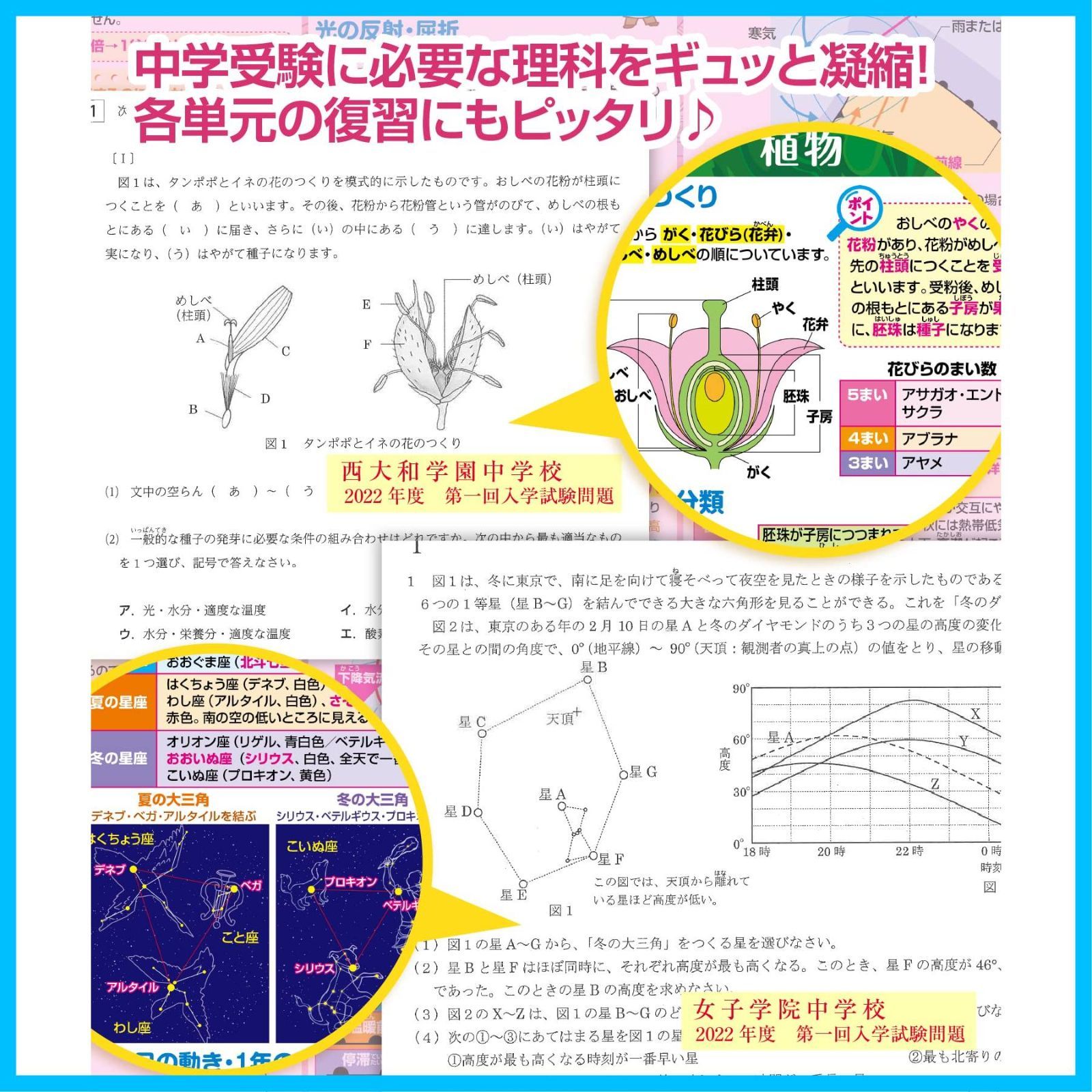 迅速発送】お風呂の学校 中学受験マスターどこでも理科 お風呂ポスター 3枚セット 日本製 中学受験に必要な理科まとめ B3サイズ 学習 知育 防水  メルカリ