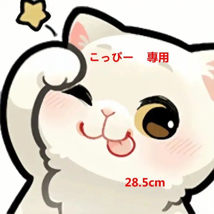 こっぴー    專用  28.5cm