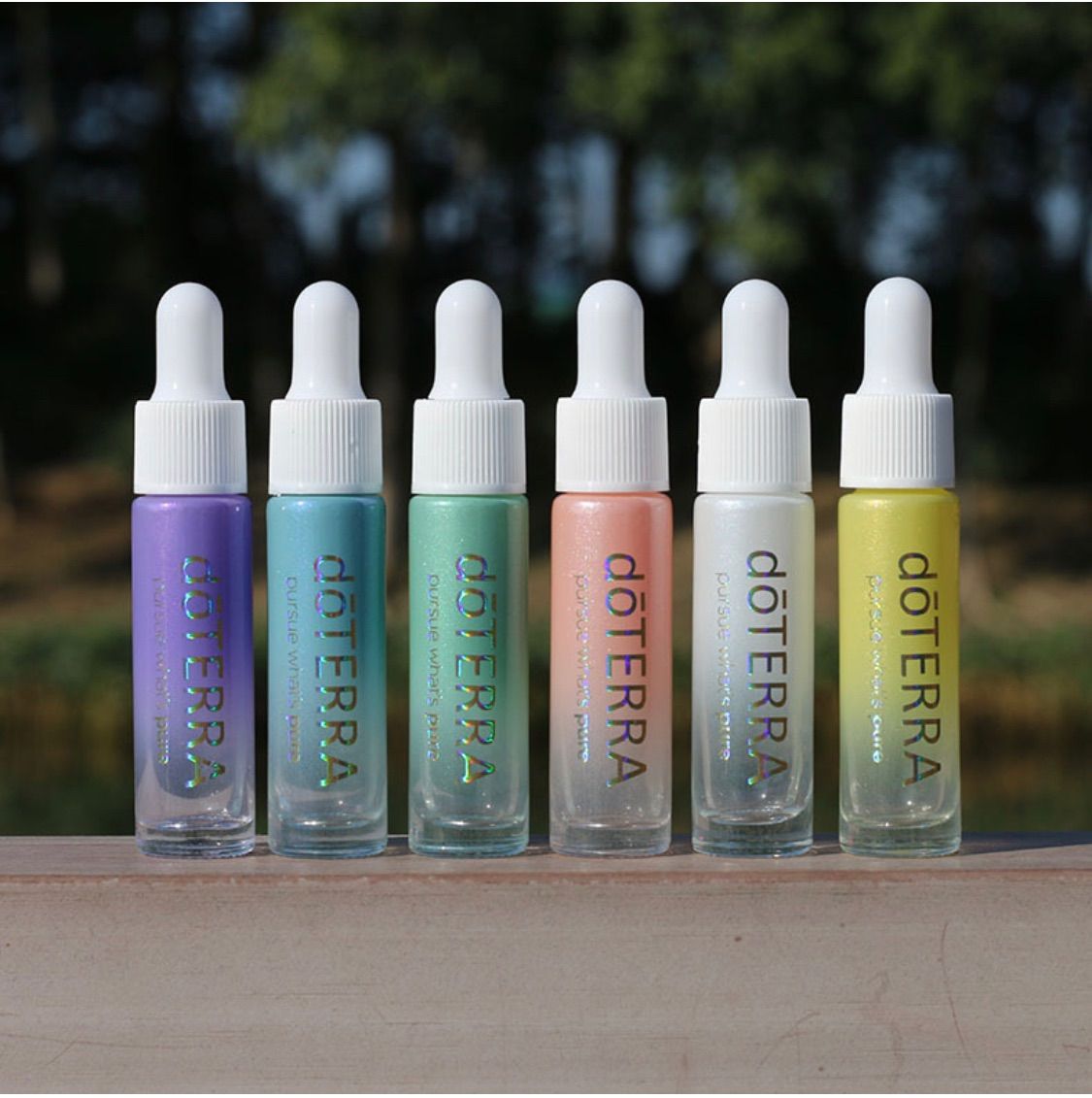 doTERRA 柑橘系多めエッセンシャルオイルセット 5本 15ml