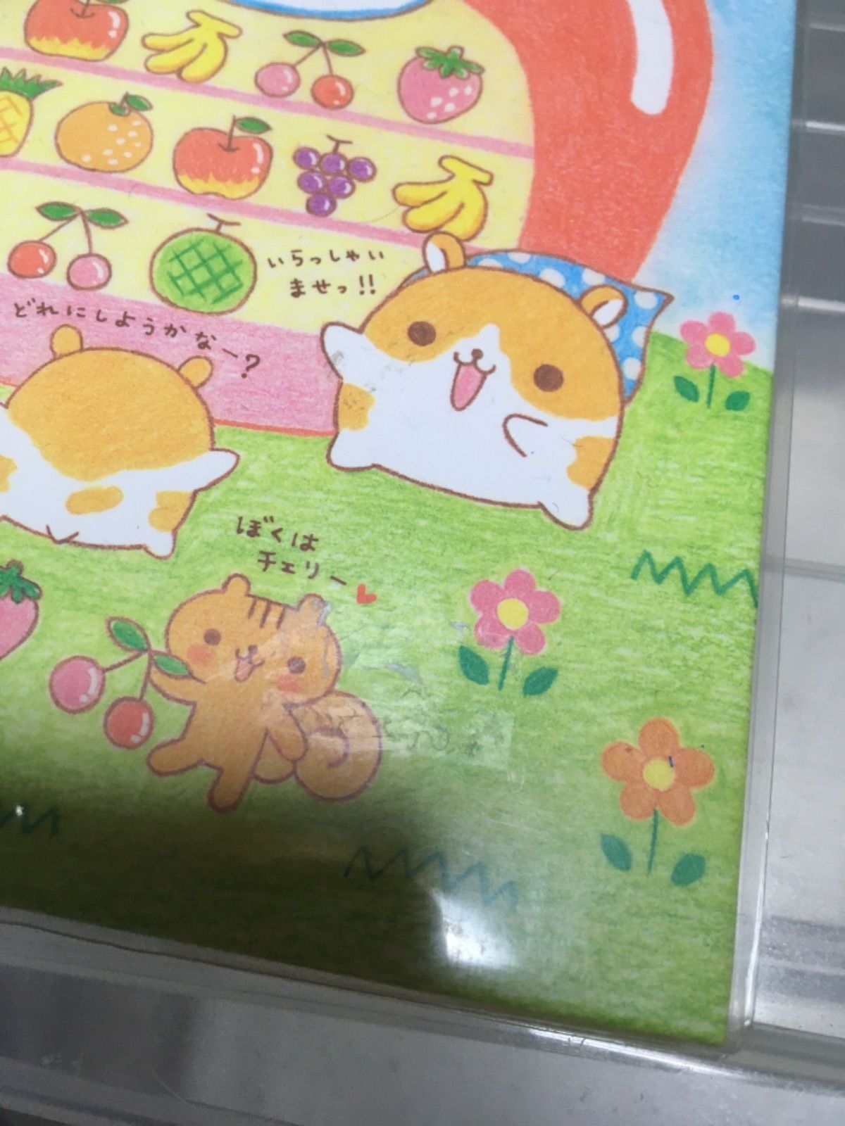 ハムちゃんずワールド プロフィール帳 森のくだもの屋さん キュート柄