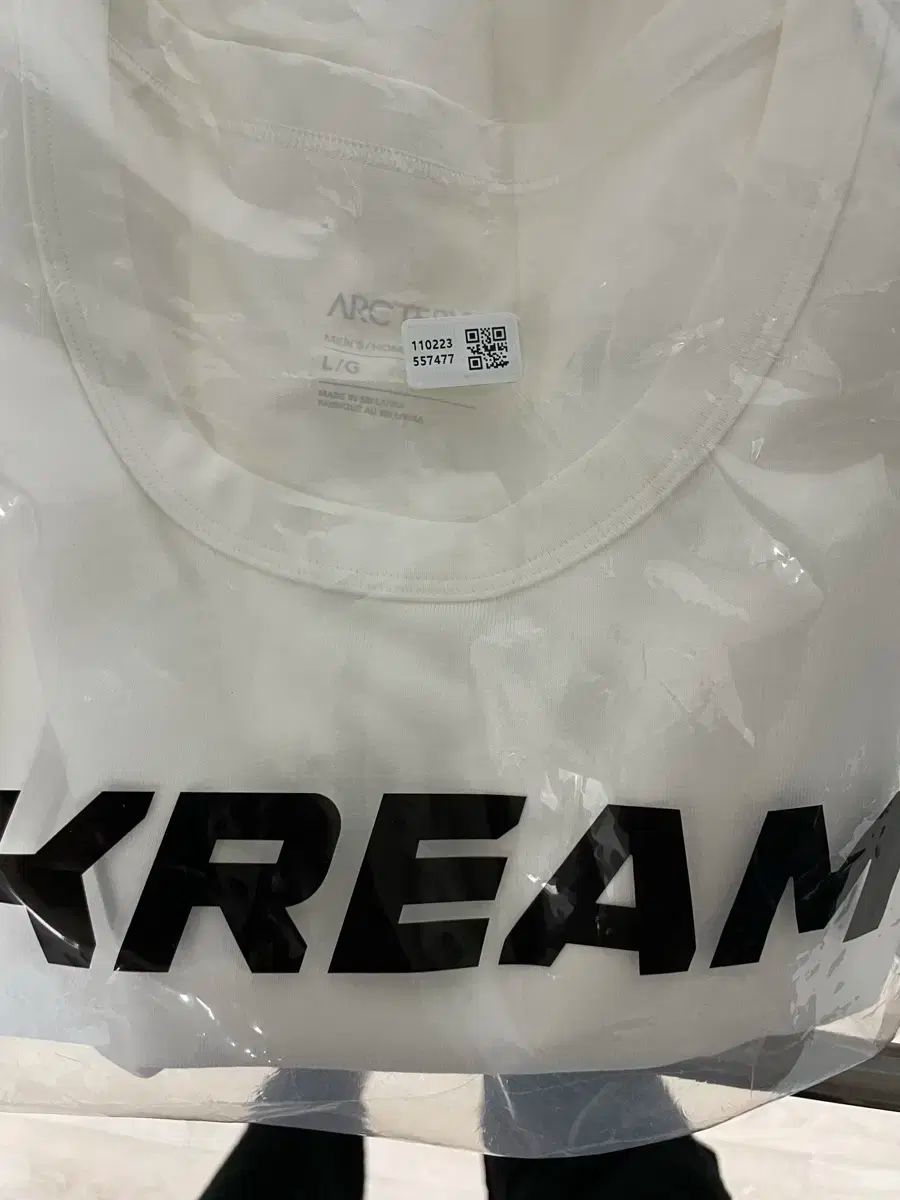 ARC TERYX アークテリクス キャプティブ Tシャツ ホワイト L