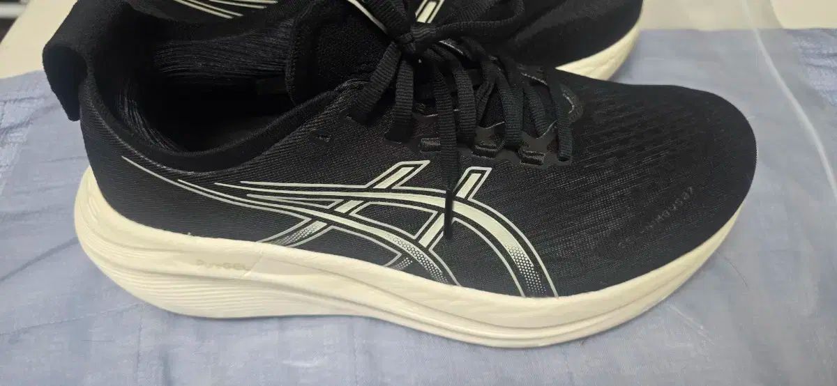 Asics アシックス ゲル ニンバス 27 4E 黒