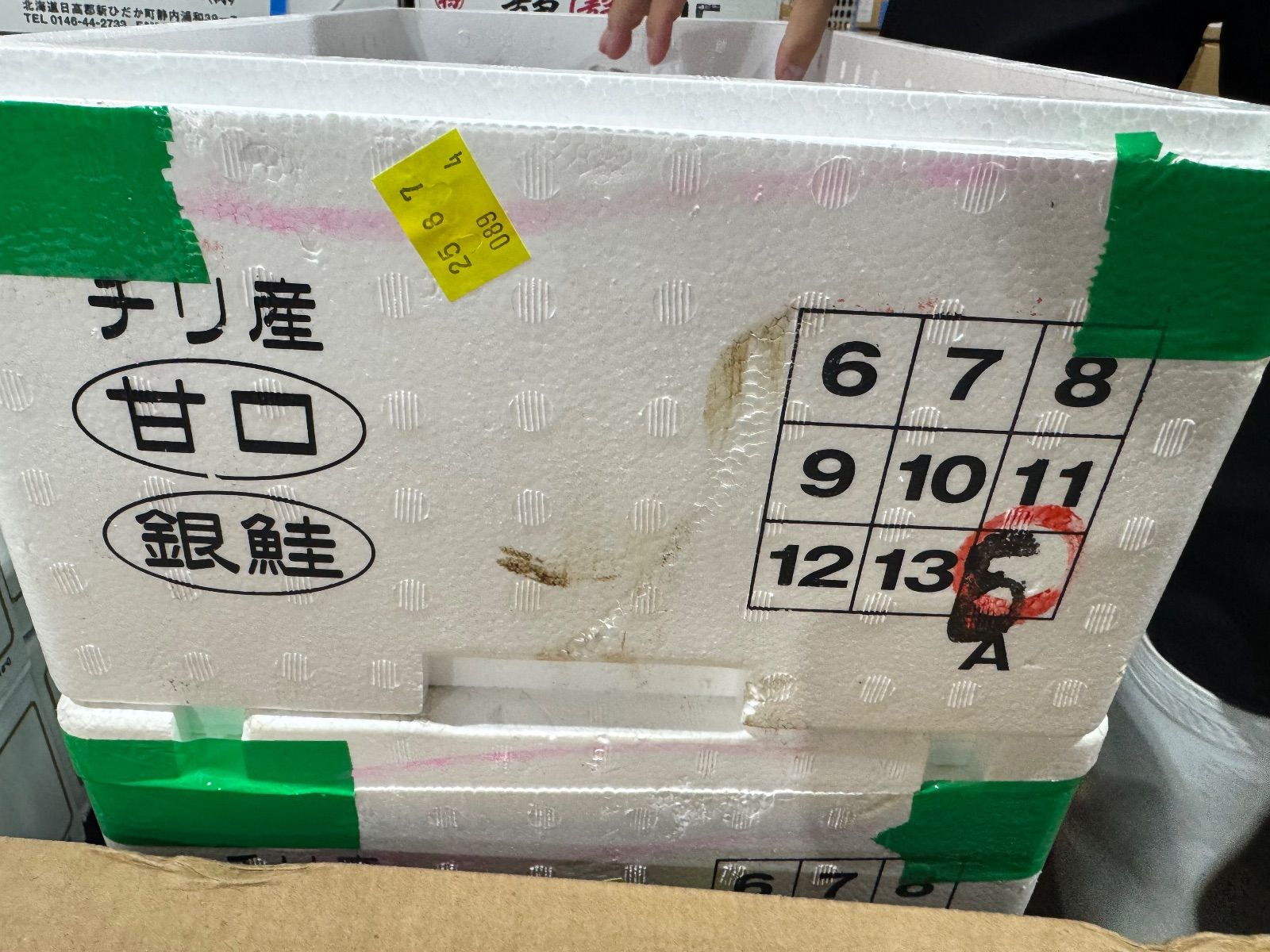 銀鮭8kg5枚