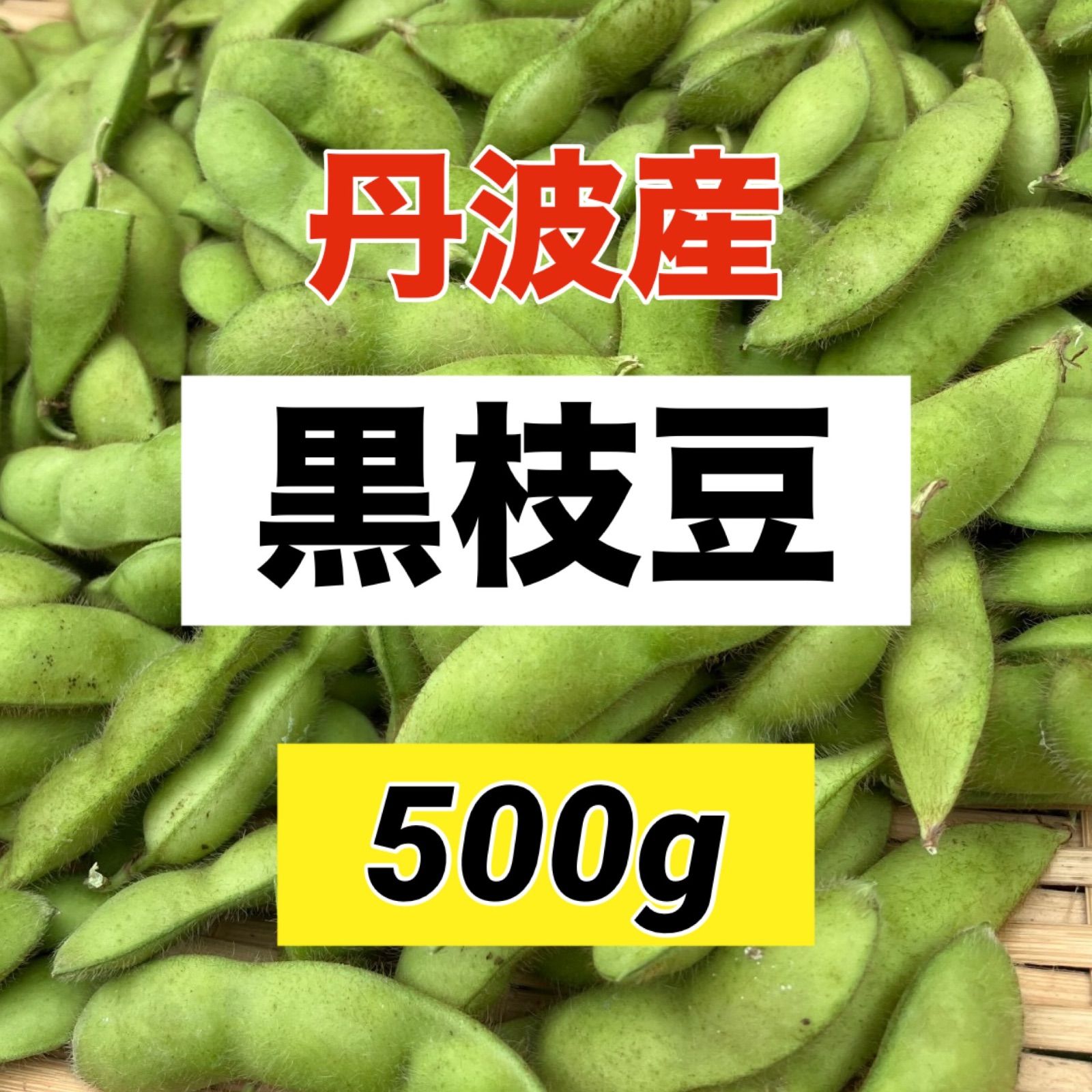 10月21日発送分‼️丹波産‼️黒枝豆500g‼️ビールのおともに‼️止まらないうまさ‼️